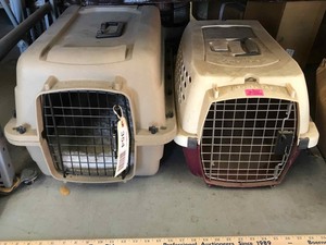 lot 354 image: (2) Small Pet Carriers