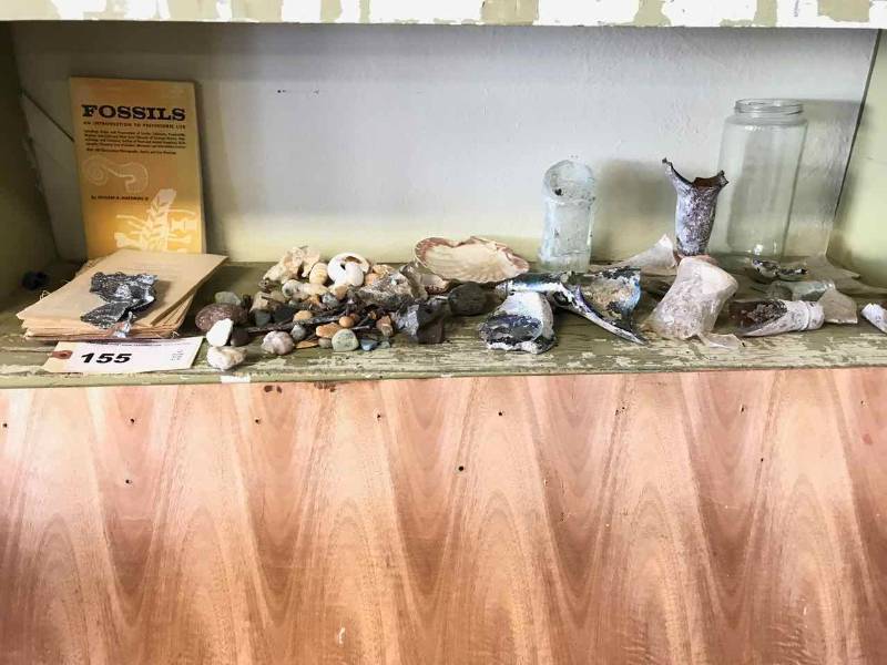 lot 155 image: Old Glass Pieces, Stones, Square Nails, Sea Shell, Books on Fossils, Prospecting, Sea Shells