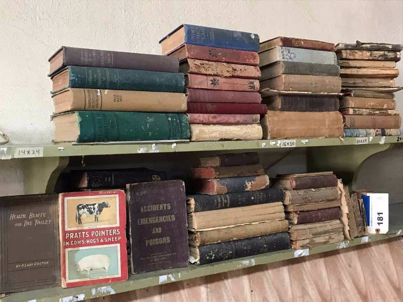 lot 181 image: Assorted Old Books in rough shape