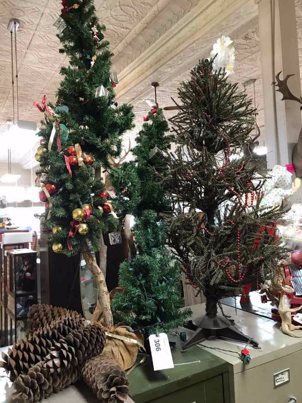lot 306 image: Small Christmas Trees & Large Pine Cones