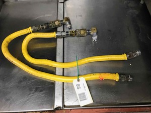 lot 95 image: (2) Gas Hoses with quick disconnects