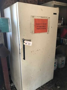 lot 89 image: Upright Freezer UFP 19M