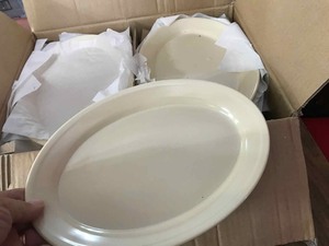 lot 143 image: Plastic Platters, new in box (24) 12 x 8.5 in