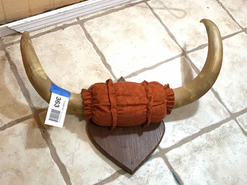 lot 363 image: Steer Horns