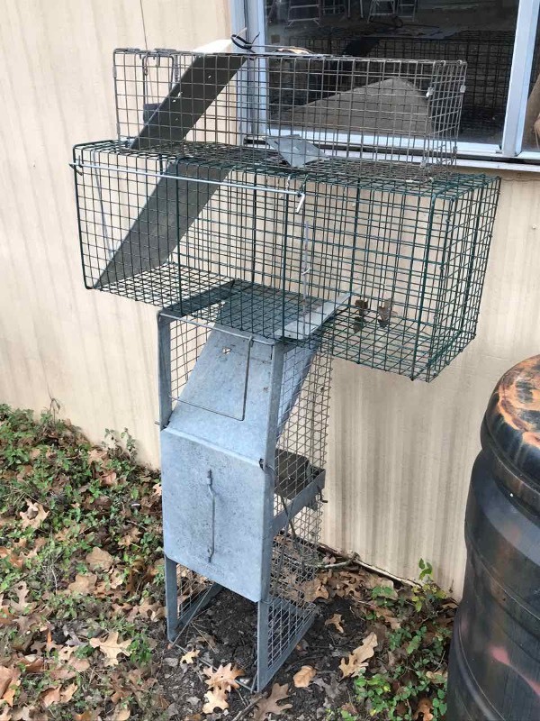 lot 724 image: (3) Live Traps