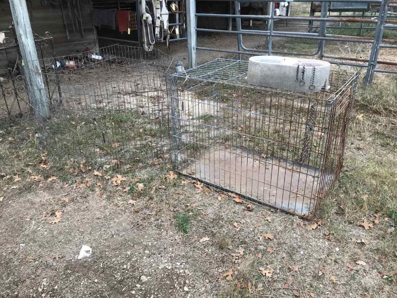 lot 853 image: Large Dog Crate &  Portable Pen
