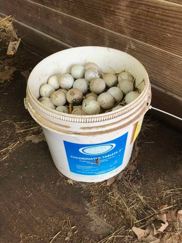 lot 855 image: Bucket of Golf Balls