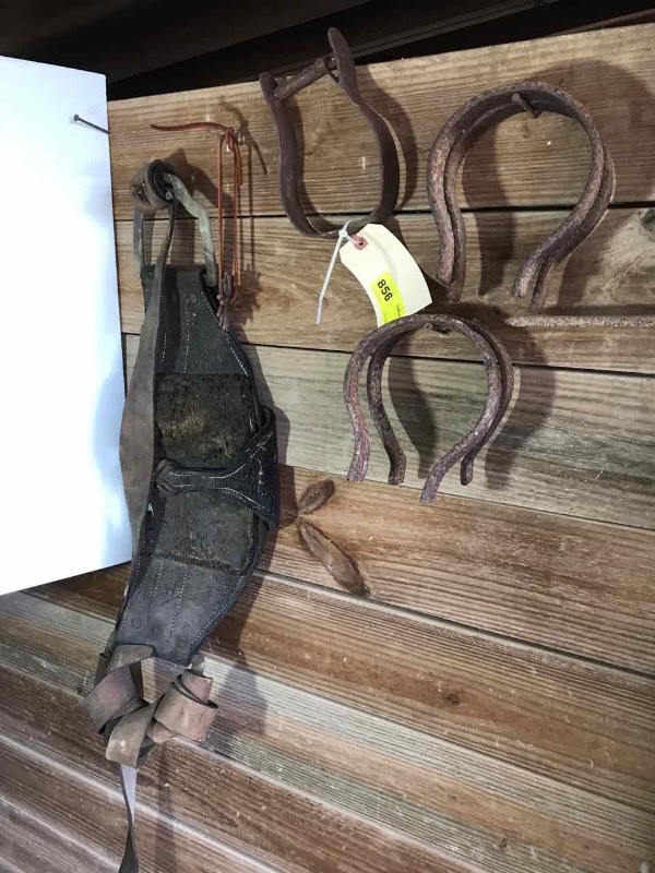 lot 856 image: Do-It-Yourself  Stirrups, Rowels, Bareback Rigging