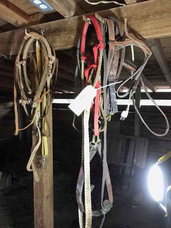 lot 859 image: Horse Tie Downs