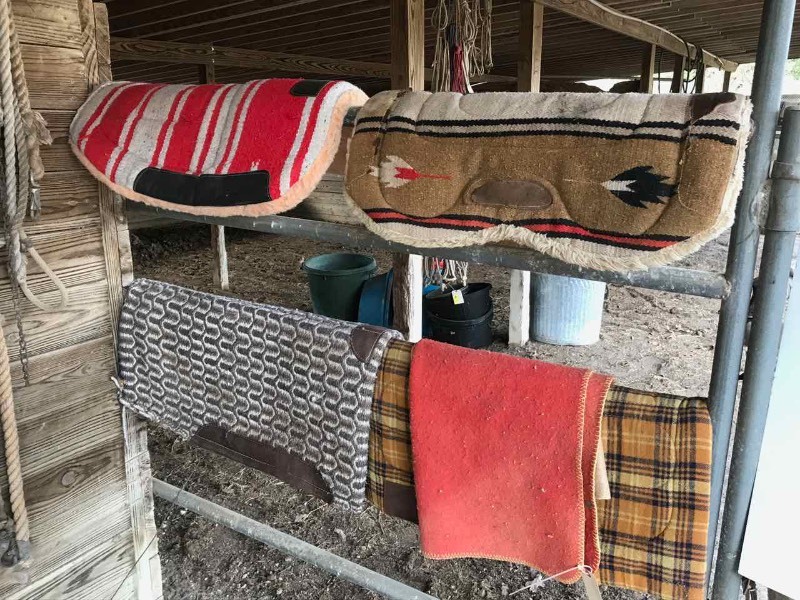 lot 880 image: Saddle Pads