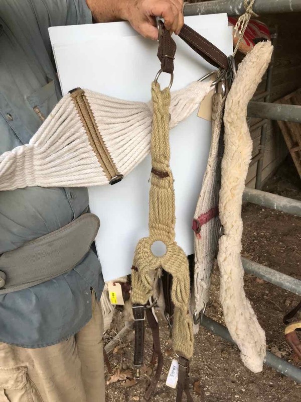 lot 883 image: Breast Collar & Gert