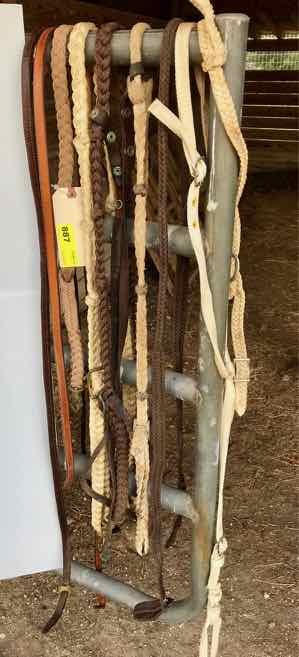 lot 887 image: Raines