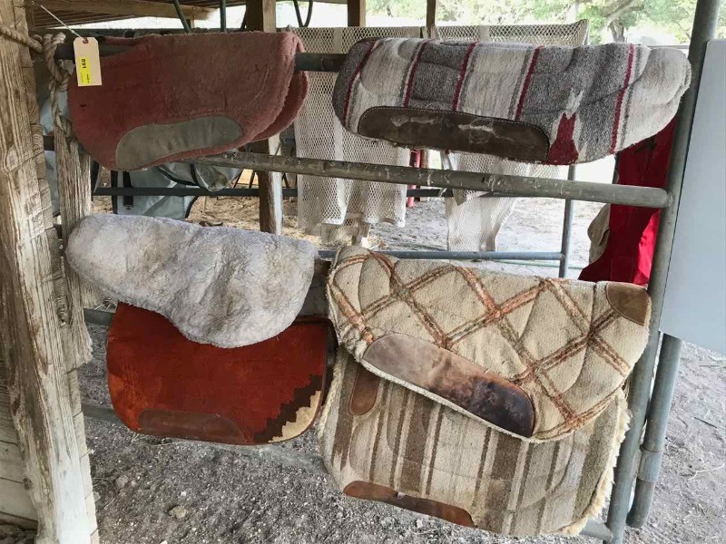 lot 891 image: (6) Saddle Pads