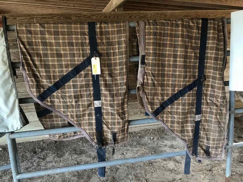 lot 895 image: Blankets (2) Plaid