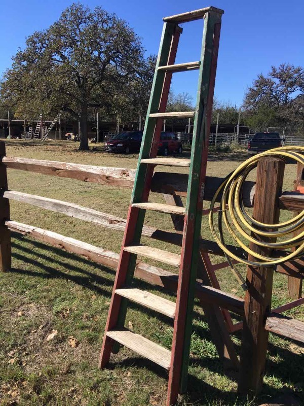 lot 914 image: Wood Ladder, 8 foot