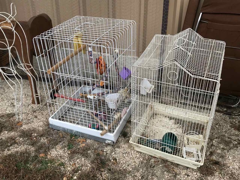 lot 126 image: (2) Bird Cages with Accessories