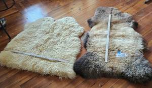 lot 859 image: American Lambskin (darker), Country Living Skin (lighter)