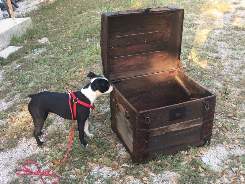 lot 518 image: Old Primitive Metal & Wood Chest (5-point star handle hardware)