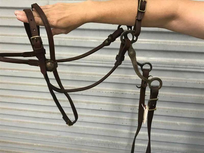 lot 9 image: Bridle