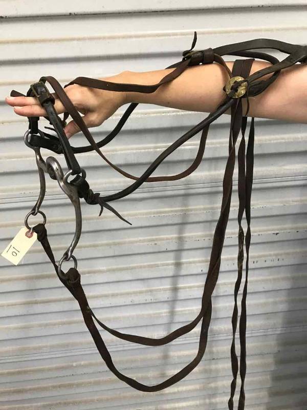 lot 10 image: Bridle