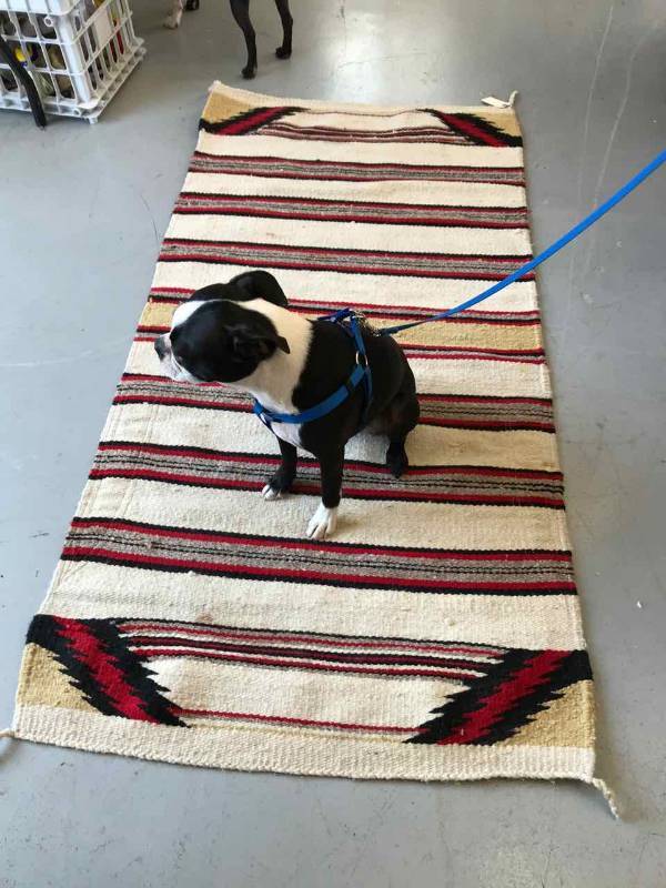 lot 224 image: Saddle Blanket