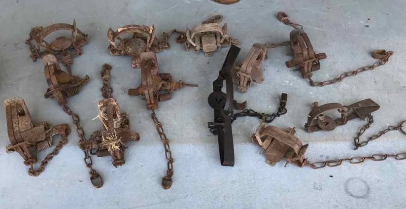 lot 253 image: Old Traps