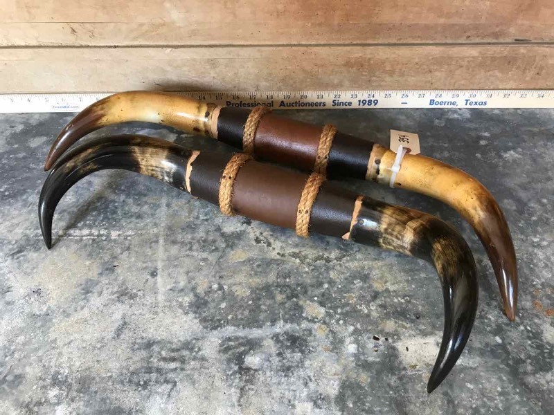 lot 354 image: (2) Old Steer Horns