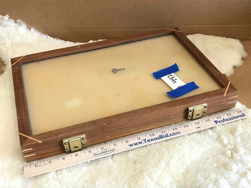 lot 442 image: Table Top Glass Display Case with Key