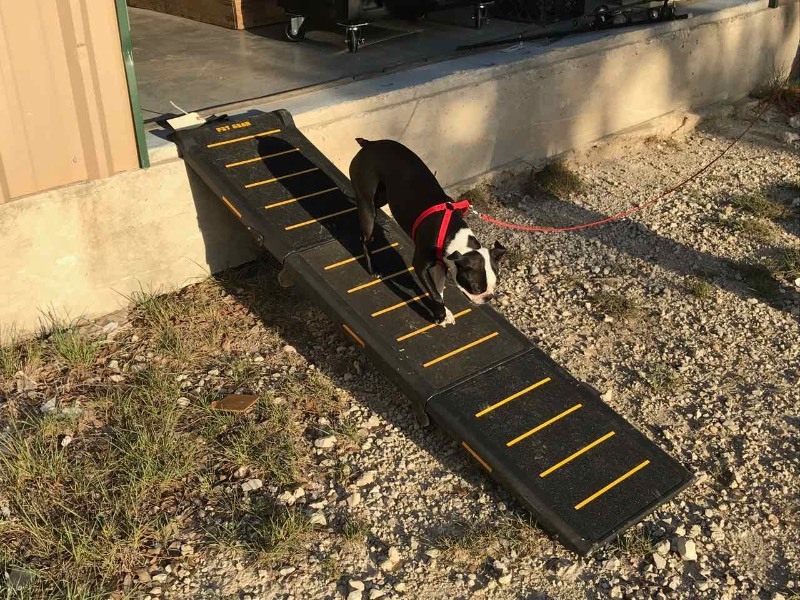 lot 600 image: Pet Gear Ramp