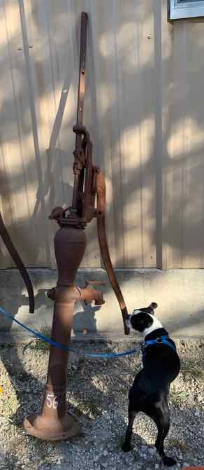 lot 56 image: Old Pump