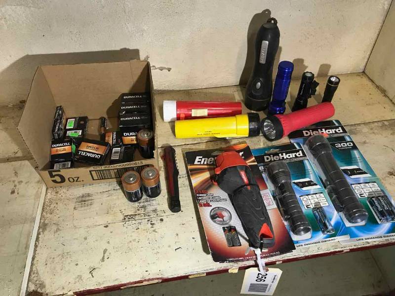 lot 256 image: Flashlights & Batteries