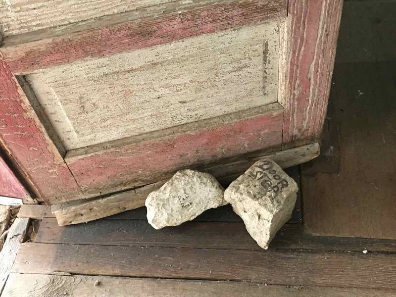 lot 449 image: Bergheim General Store Rock Door Stop & Pet Rock