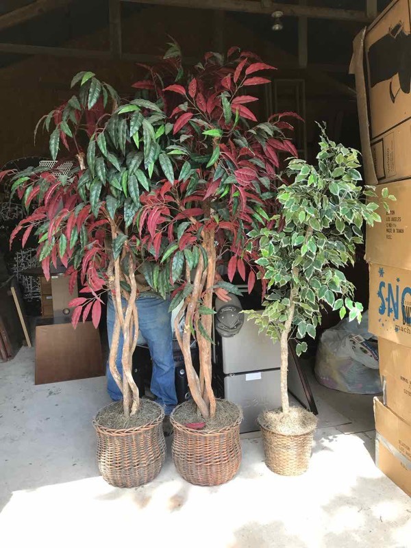 lot 29 image: (3) Artificial Bushes