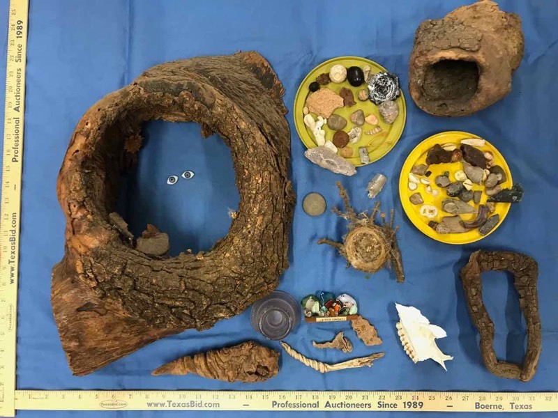 lot 87 image: KnotsBurls, Rocks, Sun Baked Bits of Glass, Shells, Etc.