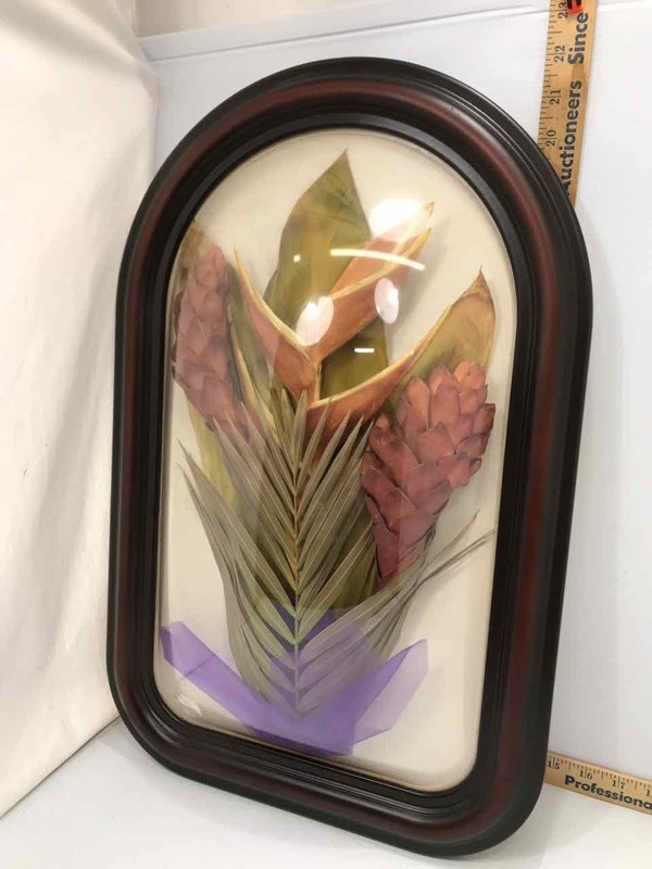 lot 115 image: Framed Domed Glass, Dried Botanical (Ginger, Palm, Bird of Paradise)
