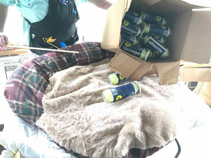 lot 394 image: Dog Bed and large box of tennis balls