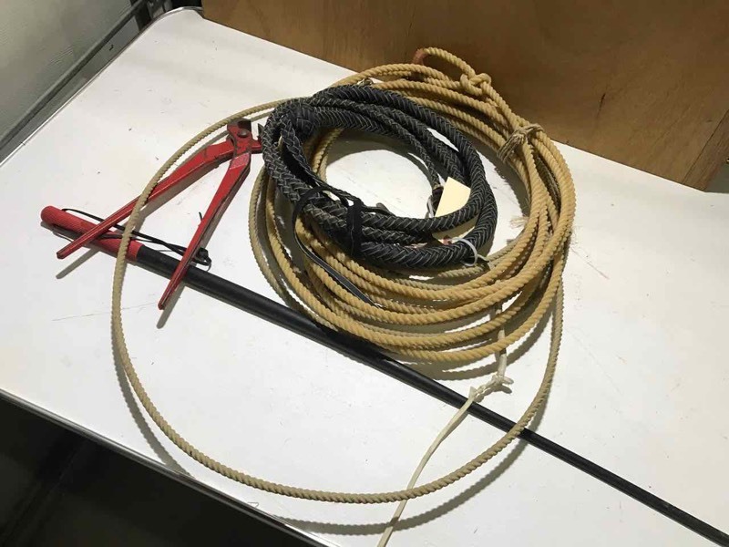 lot 39 image: Cowboy lot  bull whip, two lariats, hoof trimmers, sorting stick