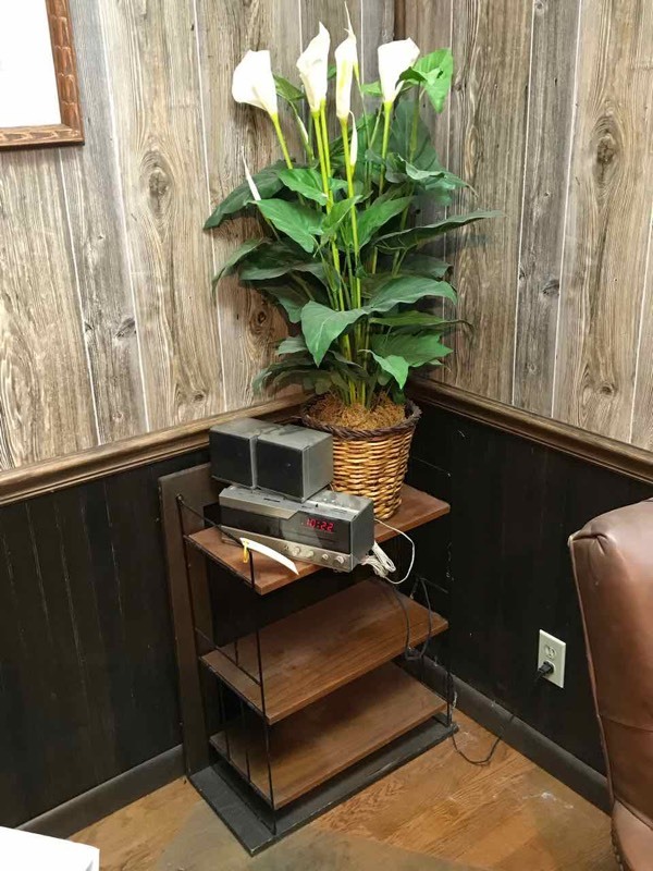 lot 330 image: Artificial Plant, Bookshelf, Radio