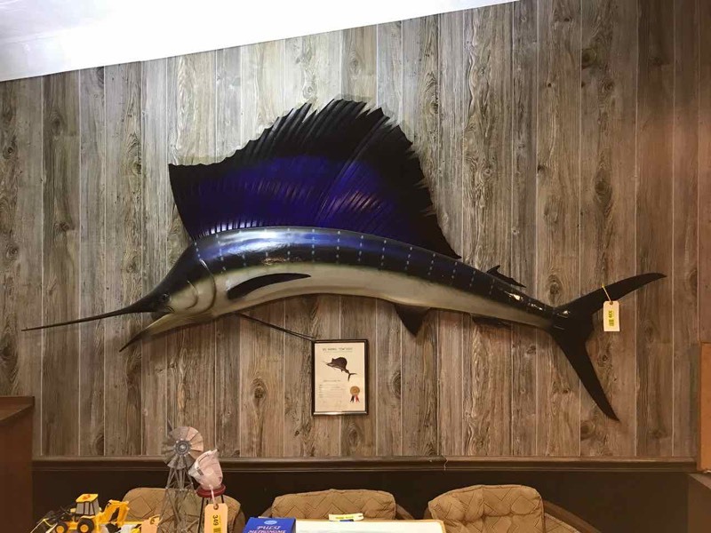 lot 339 image: Mounted Sailfish with Certificate,  Eight feet long