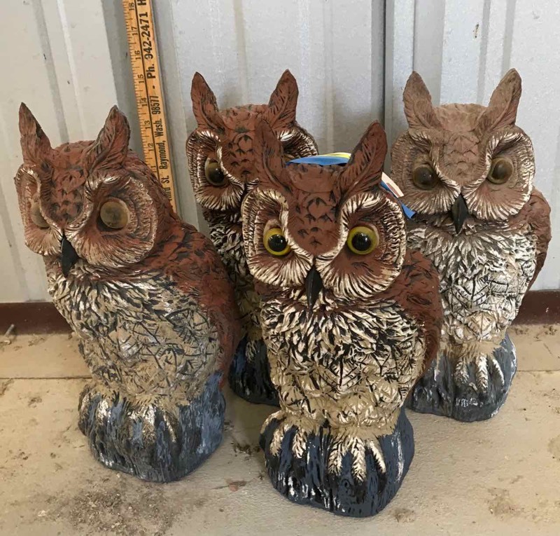 lot 860 image: (4) Plastic Owls