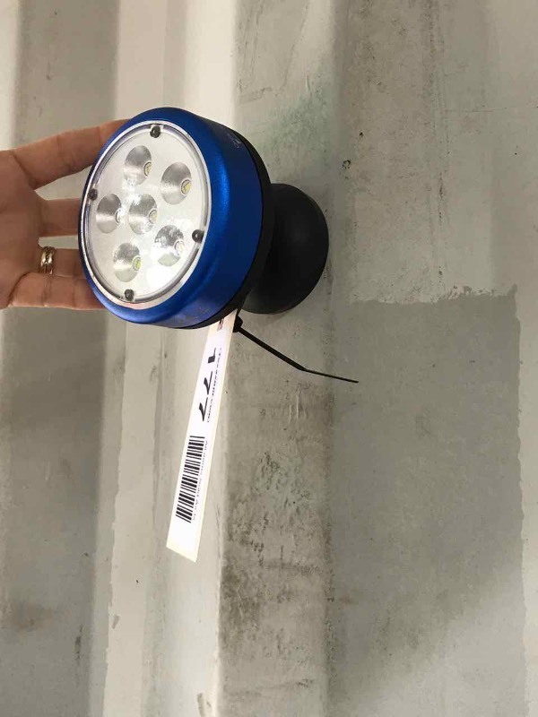 lot 177 image: Blue-Point LED Worklight Magnetic Base ECFPIV0T6