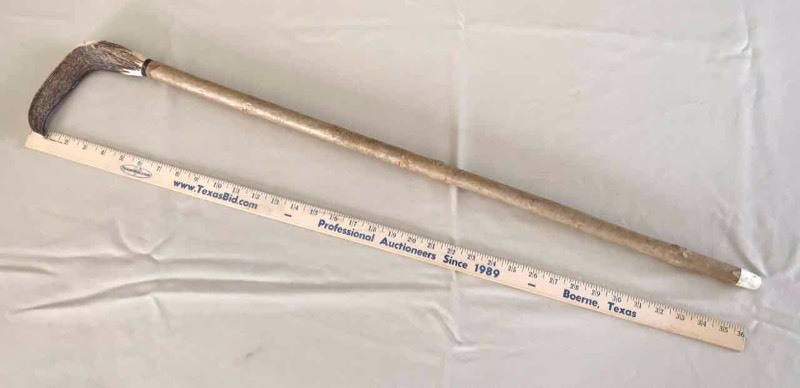 lot 60 image: Walking Cane Horn Handle