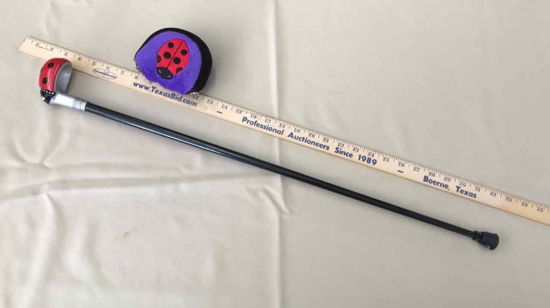 lot 66 image: Walking Cane Lola Ladybug with plush cover