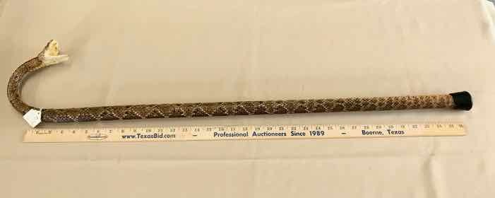 lot 117 image: Cane  Rattlesnake, Open Mouth, Length of Cane