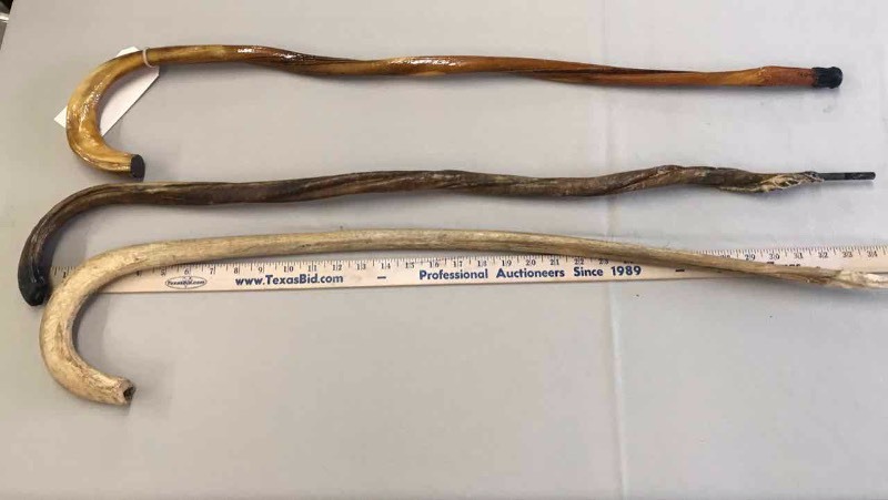 lot 239 image: (3) Canes Reproductive Organs (Bull)