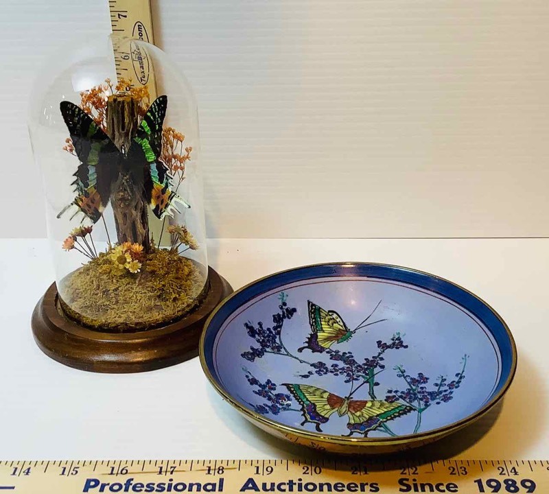 lot 137 image: Butterfly Specimen and Decorative Bowl (LR)