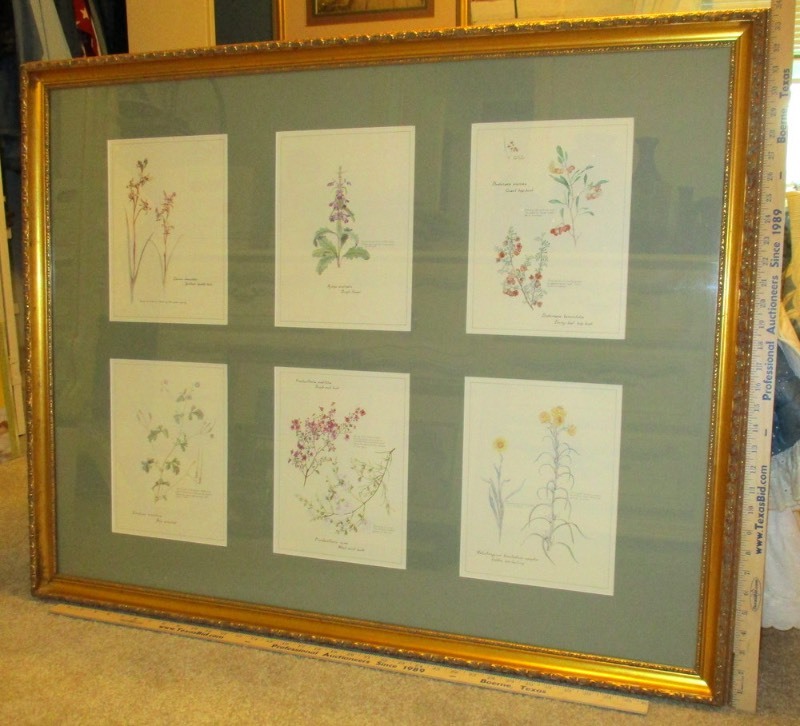 lot 285 image: Framed Print Six Panel Flowers (B2)