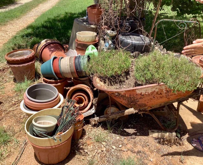 lot 607 image: Assorted Planter Pots, Old Wheelbarrow, Cans (BY)