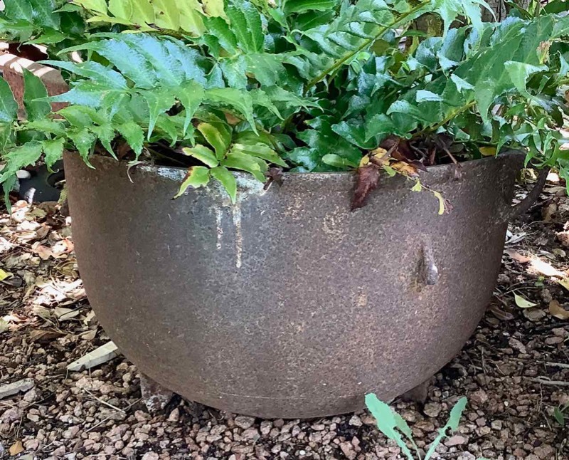 lot 617 image: Cast Iron Footed Pot with Fern (BY)