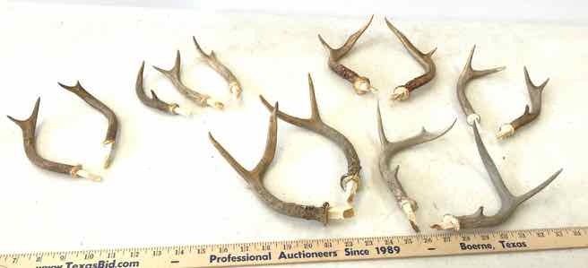 lot 94 image: Mythical Jack-a-Lope Antlers